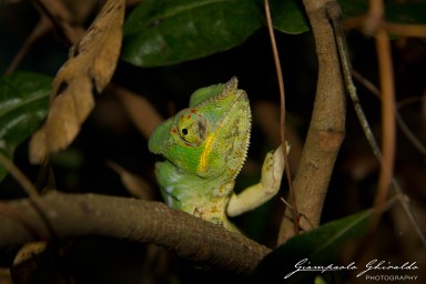 20120806_Madagascar_2906.jpg