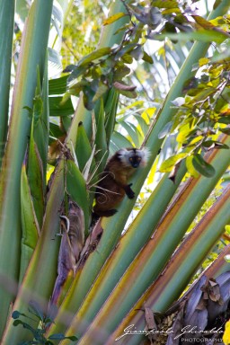 20120806_Madagascar_3056.jpg