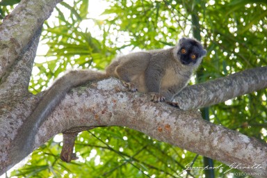 20120806_Madagascar_3173.jpg