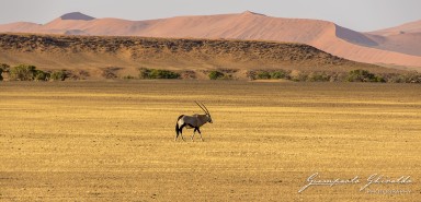 2022-09-15_Namibia_Gia-0072.jpg