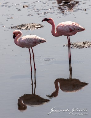 2022-09-16_Namibia_Gia-0370.jpg