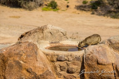 2022-09-18_Namibia_Gia-0829.jpg