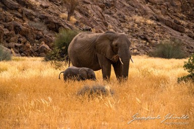 2022-09-18_Namibia_Gia-0952.jpg