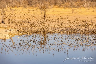 2022-09-21_Namibia_Gia-1353.jpg