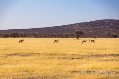 2022-09-21_Namibia_Gia-1384.jpg