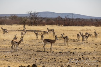 2022-09-21_Namibia_Gia-1541.jpg