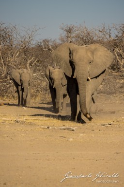 2022-09-21_Namibia_Gia-1614.jpg