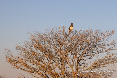 2022-09-22_Namibia_Gia-1703-Migliorato-NR.jpg