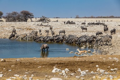 2022-09-22_Namibia_Gia-1732.jpg