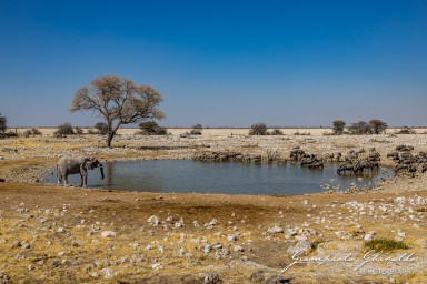 2022-09-22_Namibia_Gia-1743.jpg