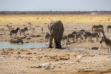 2022-09-22_Namibia_Gia-1778.jpg