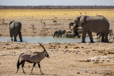 2022-09-22_Namibia_Gia-1782.jpg