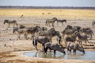 2022-09-22_Namibia_Gia-1785.jpg