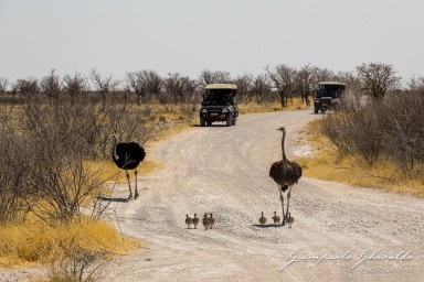 2022-09-22_Namibia_Gia-1790.jpg