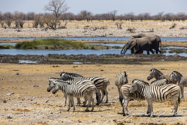 2022-09-22_Namibia_Gia-1825.jpg