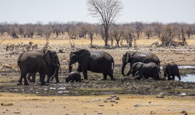 2022-09-22_Namibia_Gia-1850.jpg