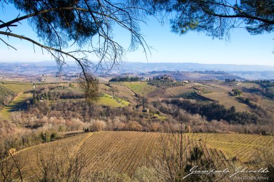 2017-01-08_San-Gimignano-0701.jpg