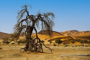 2022-09-15---Namibia-0115.jpg