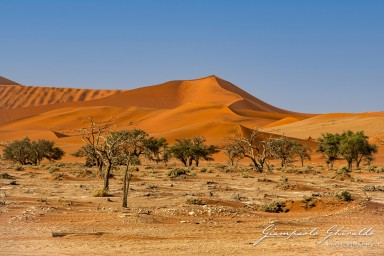 2022-09-15---Namibia-0117.jpg