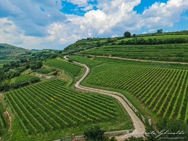 2023-06-11_Soave-152315.jpg