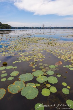 2023-11-19_Siem_Reap-5007.jpg