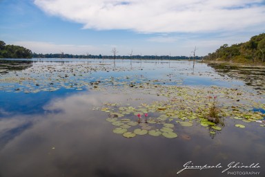 2023-11-19_Siem_Reap-5008.jpg