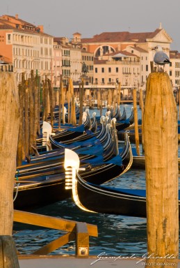 20090223_Venezia_Carnevale_6597.jpg