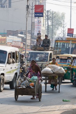 20101204_Delhi_e_Agra_10417.jpg