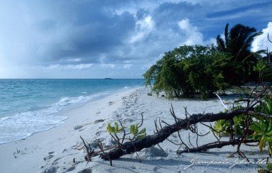 19900800_Maldive_073.jpg