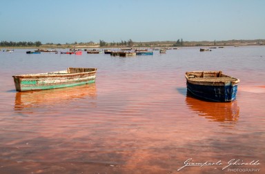 20070317_Senegal_4690.jpg