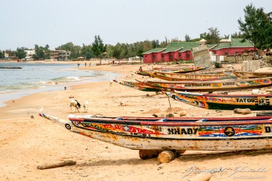 20070317_Senegal_5199.jpg