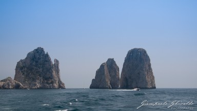 20090700_Campania_7662.jpg