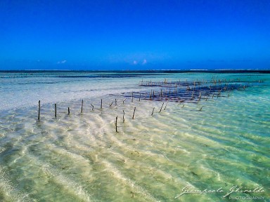 2015-08-04_zanzibar-0103.jpg