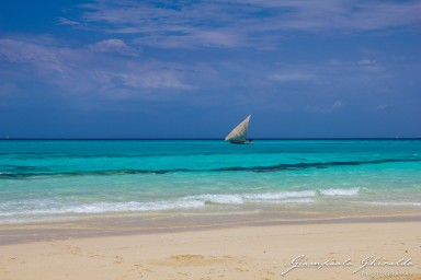 2015-08-04_zanzibar-7466-HDR.jpg