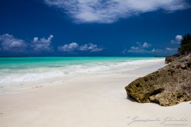 2015-08-04_zanzibar-7710.jpg