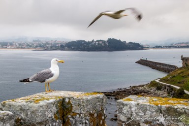 2017-07-06_Galizia-e-Porto-1205.jpg